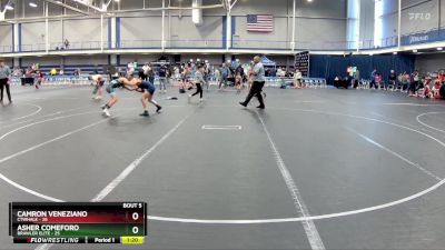 96 lbs Round 3 (4 Team) - Camron Veneziano, CTWHALE vs Asher Comeforo, Brawler Elite