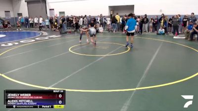 119 lbs Round 2 - Alexis Mitchell, Pioneer Grappling Academy vs Jewely Weber, Valdez Youth Wrestling Club Inc.