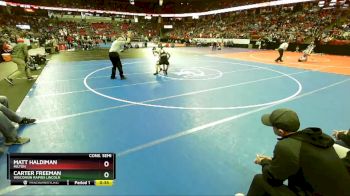 D1-126 lbs Cons. Semi - Carter Freeman, Wisconsin Rapids Lincoln vs Matt Haldiman, Milton