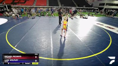 60 lbs Quarterfinal - Michael Pechnyo, Colorado vs Luke Wolfley, Idaho