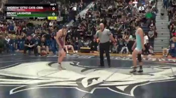 138 lbs Quarterfinal - Brody Laughter, Centennial vs Andrew `Otto` Cate-Cribari, Cimarron-Memorial