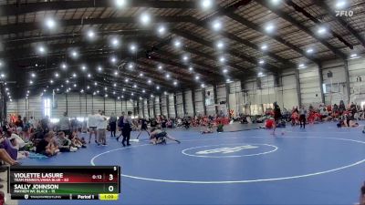 144 lbs Quarters - Violette Lasure, Team Pennsylvania Blue vs Sally Johnson, Mayhem WC Black