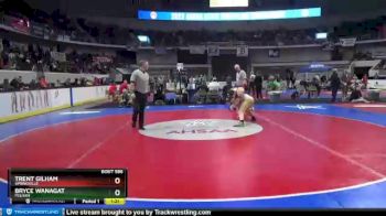 5 lbs Semifinal - Trent Gilham, Springville vs Bryce Wanagat, Pelham