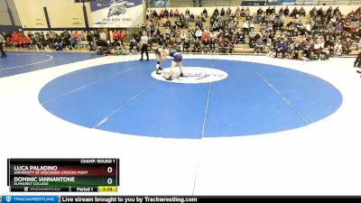 125 lbs Champ. Round 1 - Luca Paladino, University Of Wisconsin-Stevens Point vs Dominic Iannantone, Elmhurst College