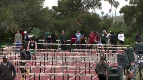 Men's 110m Hurdles