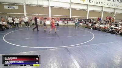 113 lbs Placement Matches (8 Team) - Eli Flowers, Georgia vs Alejandro Vargas, Oregon