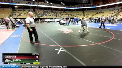 175 Class 3 lbs Semifinal - Colter Vick, McDonald County vs Logan Montoya, Helias Catholic