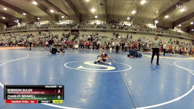 60 lbs Cons. Round 4 - Charles Benwell, Wentzville Wrestling Federation-AAA vs Emerson Euliss, Terminator Wrestling Academy-AAA 