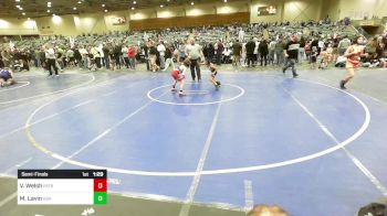 65 lbs Semifinal - Vincent Welsh, Patriot Mat Club vs Miles Lavin, USA Gold