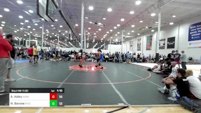 140 lbs Semifinal - Ashten Haley, Homegrown vs Nick Barone, Revival Red