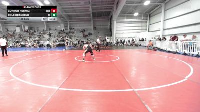 126 lbs Rr Rnd 2 - Connor Helwig, Journeymen Wrestling Blue vs Cole DeAngelo, Filipe Trained Wrestling Academy