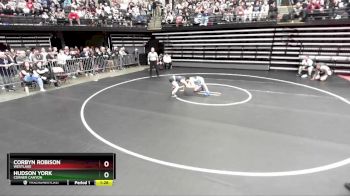 113 lbs Semifinal - Corbyn Robison, Westlake vs Hudson York, Corner Canyon