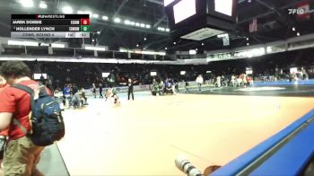 138 lbs Cons. Round 4 - Jarek Dobbie, Eisenhower vs Hollender Lynch, Edmonds-Woodway