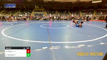 100 lbs Semifinal - Alyis Brown, American Dream Wrestling Club vs Ethan Halstead, Darkhorse