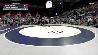 113 lbs Quarters - Rylan Seacrist, OH vs Cruzer Dominguez, NE