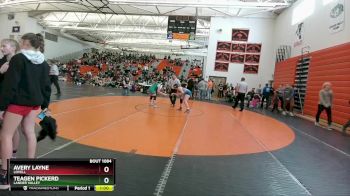 170 lbs 3rd Place Match - Avery Layne, Lovell vs Teagen Pickerd, Lander Valley