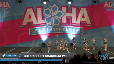 Cheer Sport Sharks-New England - Harbor Sharks [2023 L1 Tiny - Novice - Restrictions Day 1] 2023 Aloha Worcester Showdown