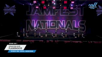 Dragons Elite - Flamingos [2025 L1 Mini - Novice - Restrictions Day 1] 2025 JAMfest Cheer Super Nationals