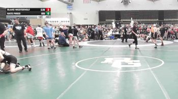 85 lbs Rr Rnd 6 - Blake Westervelt, Clearview - MSC vs Nate Pires, Iron Wolves