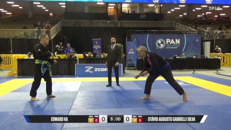 Otávio Augusto Gabrielli Silva vs Edward Ha 2026 Pan Jiu Jitsu IBJJF Championship