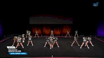 Magic Athletics - Senior Silver [2025 L3 Senior - Small Prelims] 2025 The D2 Summit