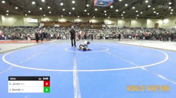 85 lbs Consi Of 8 #2 - Declan Jones, Ascend Wrestling Academy vs Justin Rosiak, Mad Dawg Wrestling Club