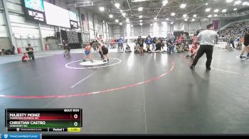 98-100 lbs Round 2 - Christian Castro, Lionheart WC vs Majesty Moniz, Takedown Express WC