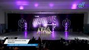 Star Performance Centre - HAVOC [2025 Junior - Contemporary/Lyrical - Small Day 1] 2025 Athletic Championships Nationals & Dance Grand Nationals