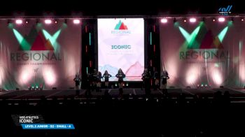 Vibe Athletics - Iconic [2025 L2 Junior - D2 - Small - A Day 2] 2025 The Northeast Regional Summit