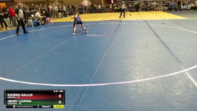 65 lbs Cons. Semi - Kamden Gallus, Sartell vs Henry Luhman, Goodhue