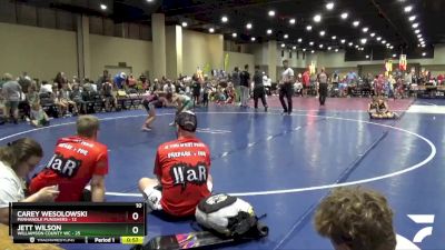 80 lbs Round 4 (8 Team) - Jett Wilson, Williamson County WC vs Carey Wesolowski, Panhandle Punishers