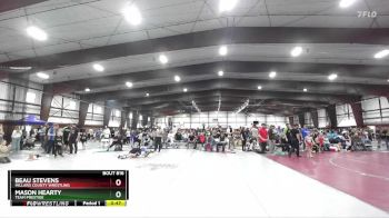 108+ Cons. Semi - Mason Hearty, Team Prestige vs Beau Stevens, Millard County Wrestling