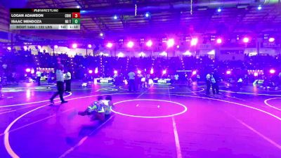 132 lbs Round Of 32 - Logan Adamson, Conifer Lobos vs Isaac Mendoza, No Team