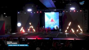 Pro Cheer - Nighthawks [2025 L1 Youth - D2 - Medium - WC Day 2] 2025 The Youth Summit