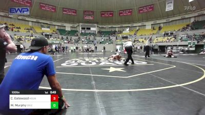 100 lbs Final - Cooper Gatewood, Mountain Home Flyers Youth Wrestling Club vs Matthew Murphy, Greenwood Wrestling Academy