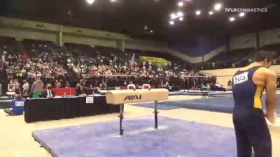 Lais Najjar - Pommel Horse, Lakeshore Academy of Art Gymnastics - 2021 USA Gymnastics Development Program National Championships