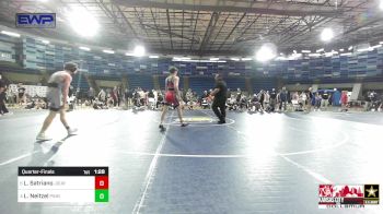 132 lbs Quarterfinal - Luke Satriano, Journeymen Wrestling Club vs Liam Neitzel, Pinnacle Wrestling Club