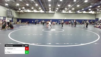 197 lbs Semifinal - Aris Dashiell, Wesleyan vs Andrew Filip, Castleton