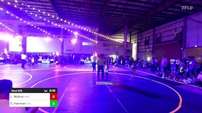 46 lbs Consi Of 8 #1 - Logan Molina, Unattached vs Chaston Harmon, Dickinson WC