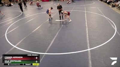 106 lbs Cons. Round 2 - Conner Aspenson, Minnesota vs Kale Westgaard, Minnesota