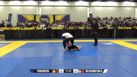 Jose Luis Sanchez Vidal Jr vs Ryan Nguyen 2024 World IBJJF Jiu-Jitsu No-Gi Championship