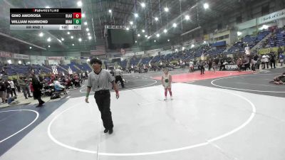 87 lbs Rr Rnd 1 - Gino Amorosa, Black Fox Wrestling Academy vs William Hammond, Dragon Wrestling CO