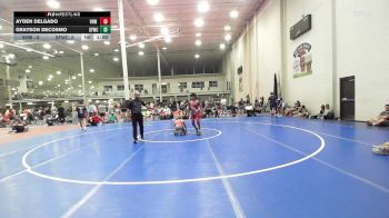 102 lbs Rr Rnd 3 - Ayden Delgado, VHW Red - HSC vs Grayson DeCosmo, Sly Fox Gray WC - HSC