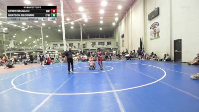 102 lbs Rr Rnd 3 - Ayden Delgado, VHW Red - HSC vs Grayson DeCosmo, Sly Fox Gray WC - HSC
