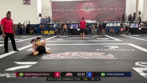 Pedro Menegon vs Renan Brandao Braga 2024 ADCC Balneario Open