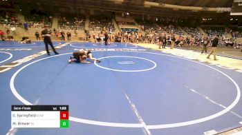 110 lbs Semifinal - Gracie Springfield, Runestone vs Mackinzie Brewer, Eierman Elite