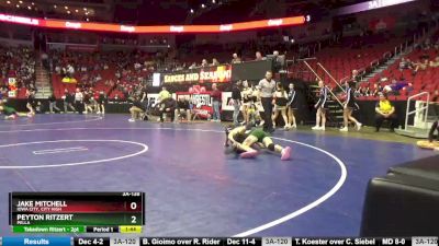 3A-138 lbs Cons. Round 3 - Jake Mitchell, Iowa City, City High vs Peyton Ritzert, Pella