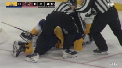 Chaos Erupts in Crease | Norfolk Admirals vs Atlanta Gladiators