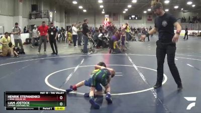 43 lbs Cons. Round 2 - Henrik Stepanenko, L`Anse Creuse WC vs Liam Jostock, Lapeer Lightning WC