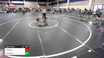 58 lbs Quarterfinal - Gwen Briggs, California Grapplers vs Alsea Goldsby, Mat Demon WC